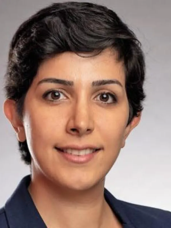 Professor Heydari Fard